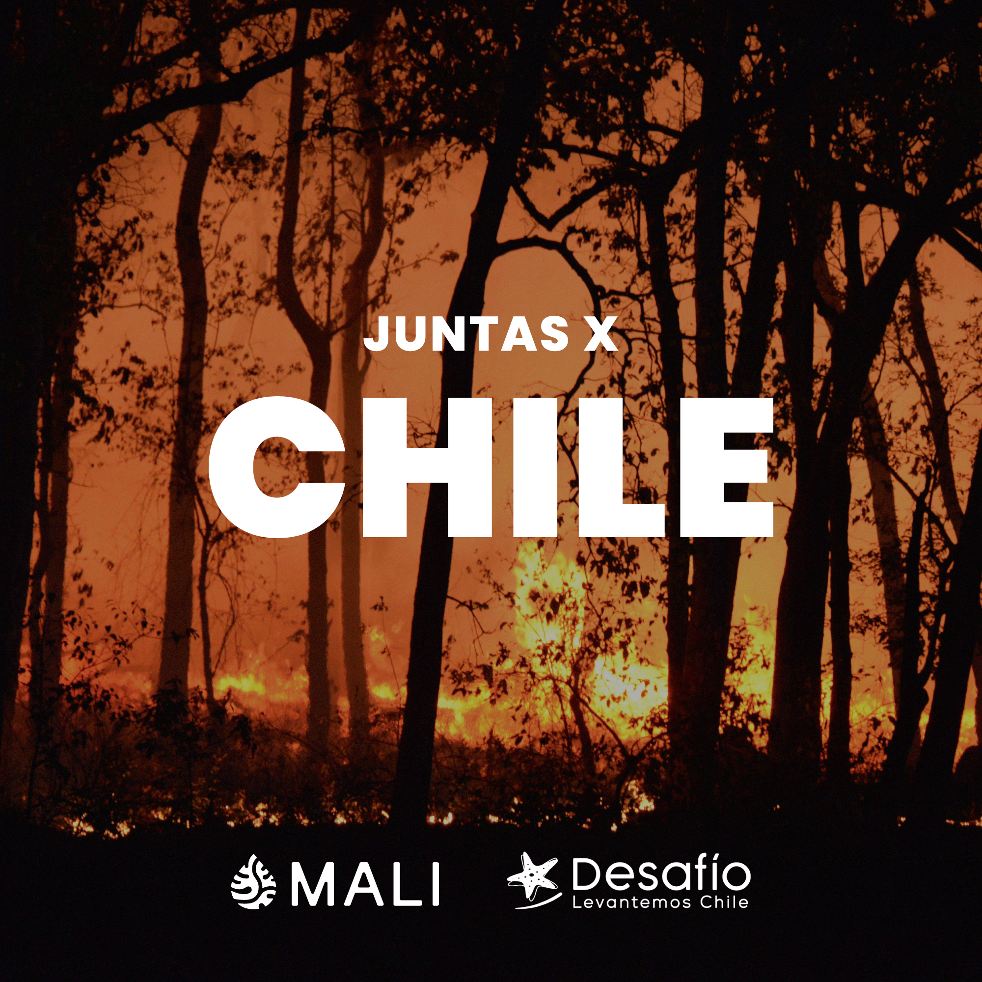 Juntas x Chile